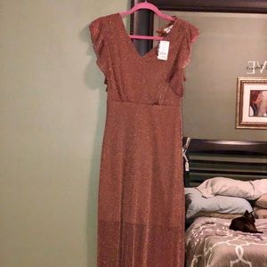 Stunning sheer dress with lining